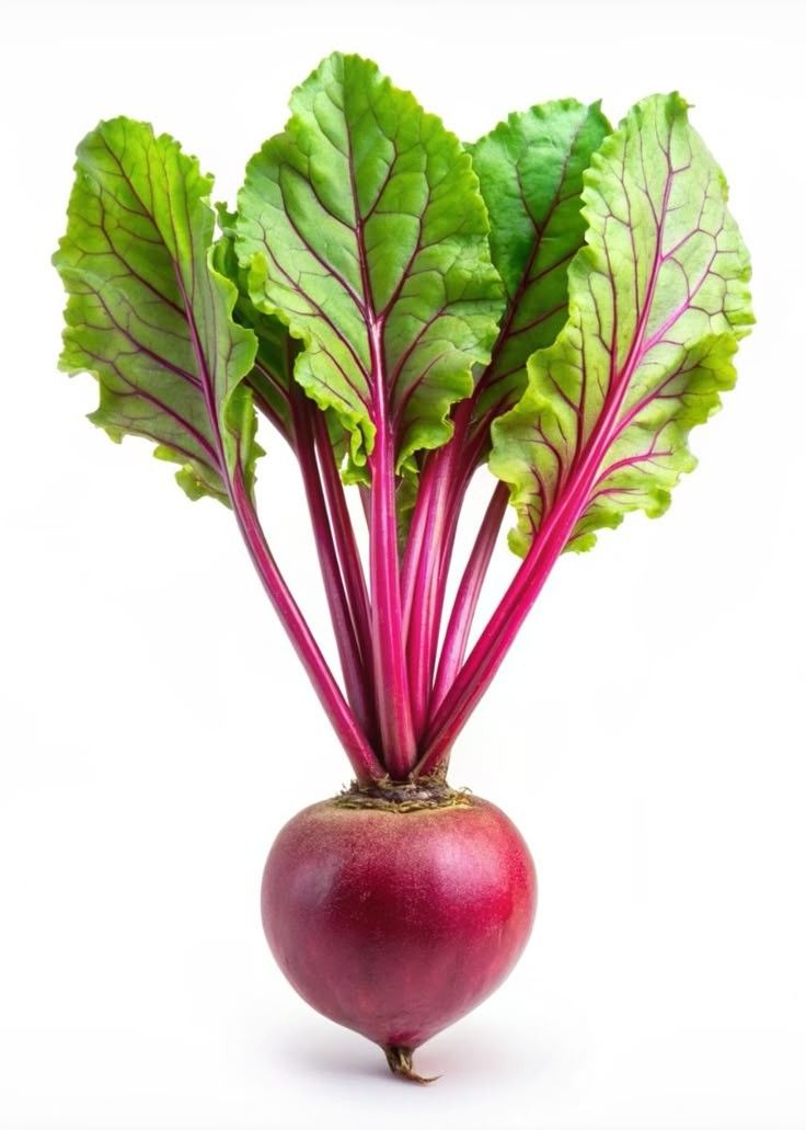 Beetroot