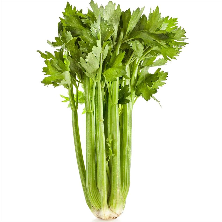 Celery