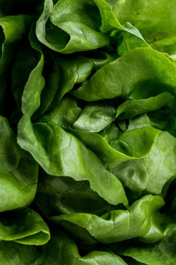 Spinach